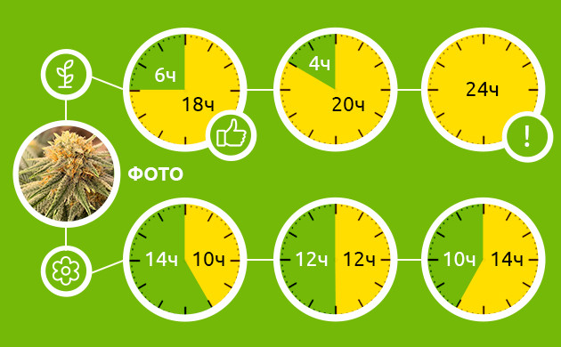 Популярные режимы освещения для фотиков