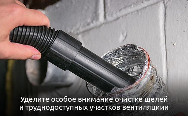 Глубокая очистка и дезинфекция гроубокса Стерилизация гроубокса после нашествия вредителей для здоровой конопли