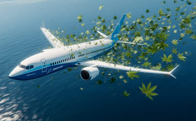 Применение конопляного волокна в авиастроении Авиация и конопляные композиты