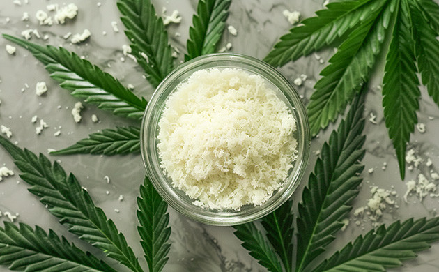 Эффект антуража и выбор КБД-продуктов Полный спектр каннабиноидов для лучшего эффекта