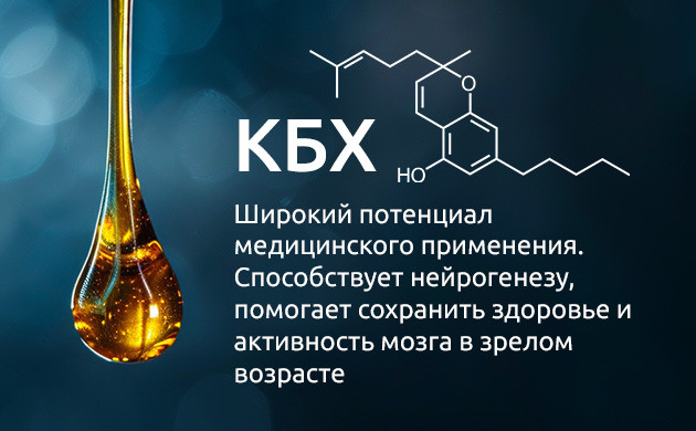 КБХ: меньше известен, но эффективен Медицинский потенциал КБХ