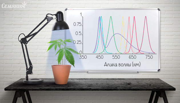 Как повысить урожай при помощи освещения
