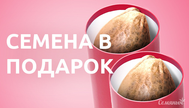 Акция на топовые фотики Семена в подарок