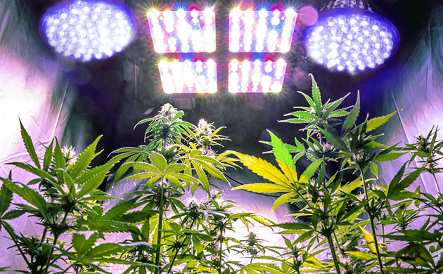 Увеличение мощности освещения в гроубоксе Добавление дополнительных ламп к основному свету