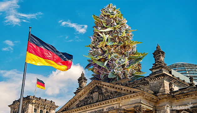 Марихуана и отношение к ней в Германии Конопля в Германии