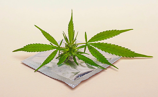 Защищенный секс и марихуана Презерватив и конопля