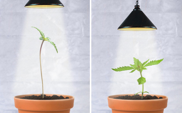 Установка комфортных условий Подбор правильного освещения