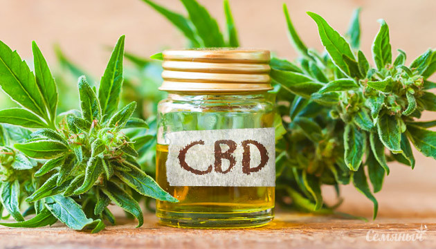 Факты о концентратах КБД Концентрат CBD