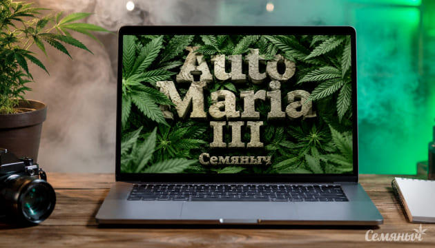 Выращивание сорта марихуаны Auto Maria III от сидбанка Семяныч Гроурепорт сорта Auto Maria III от сидбанка Семяныч