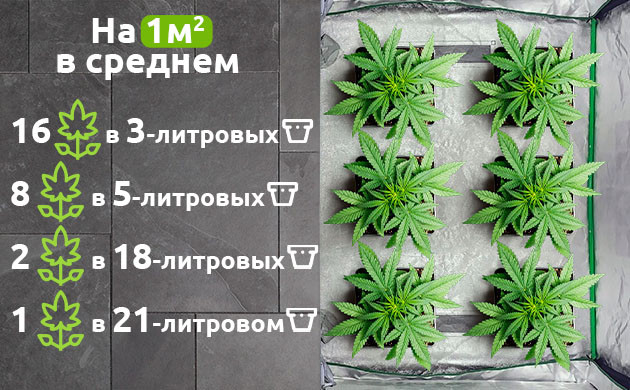 Размер горшков и количество растений Горшки для эффективного грова