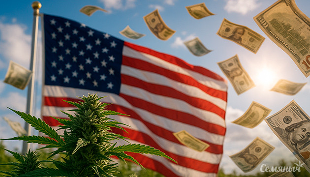 США теряют прибыль, отказываясь от участия в международной торговле марихуаной Соединённые Штаты теряют миллиарды долларов на торговле каннабисом