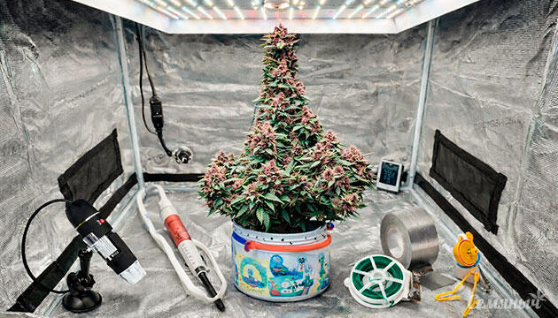 Полезные инструменты для стабильного гровинга Инструменты против проблем в гровинге