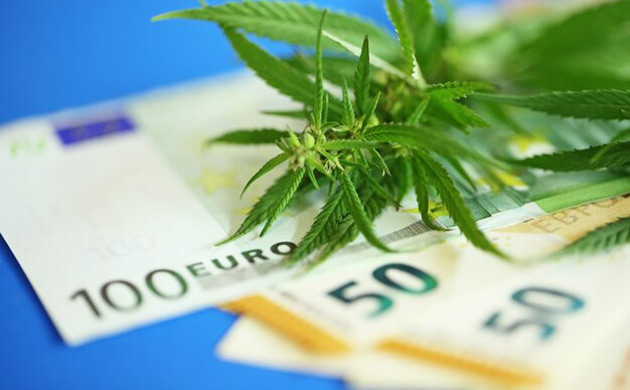 Перспективы и риски каннабис-клубов Влияние каннабис-клубов на экономику и общество