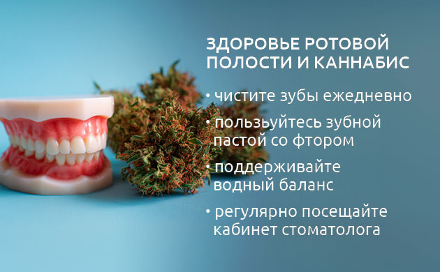 Советы для здоровья ротовой полости Здоровье полости рта при употреблении каннабиса