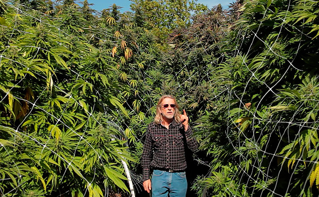 Документальный фильм Хорхе Сервантеса Хорхе Сервантес