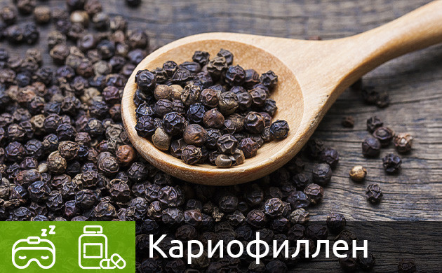 Кариофиллен в конопле Терпен кариофиллен