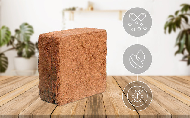 Преимущества и недостатки субстрата из кокосового волокна Кокосовый субстрат для выращивания конопли