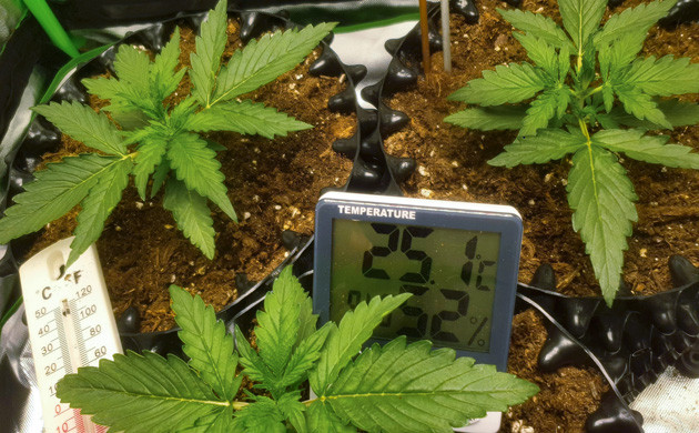 Показатели температуры и влажности