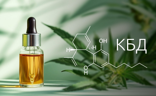 Каннабидиол: активный компонент конопли КБД и его влияние на организм