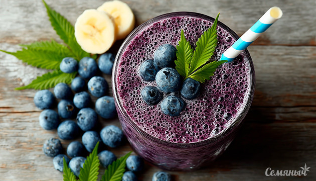 Рецепты черничного смузи с психоактивным эффектом и без него Конопляный смузи с черникой