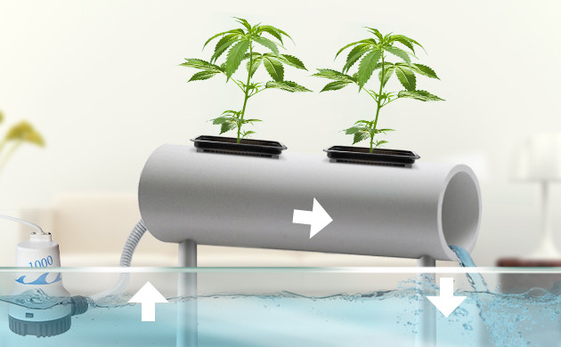 Техника питательного слоя Циркуляция воды через трубу с каннабисом