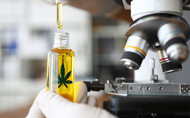 Использование КБД при эпилепсии КБД при эпилепсии