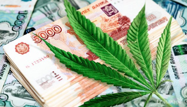 Легальный способ заработка на выращивании конопли Легальные способы заработка на конопле