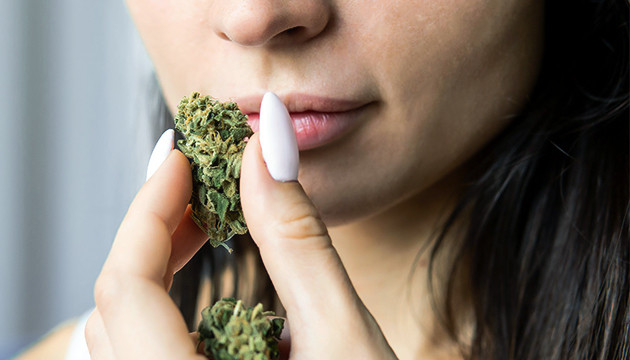 Преимущества органической марихуаны Аромат каннабиса