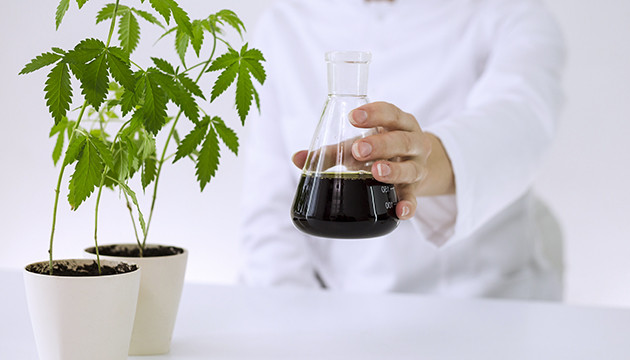 Эксперименты с техниками выращивания Техники выращивания