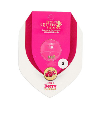 Haze Berry fem (RQS)