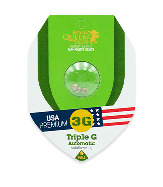 Triple G Auto fem (RQS)