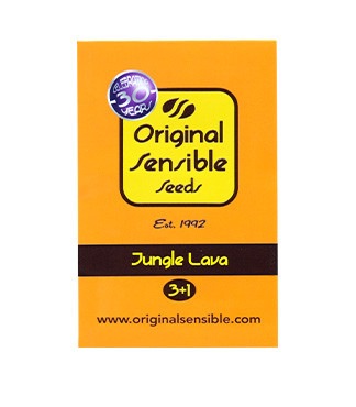 Jungle Lava fem (Original Sensible Seeds)