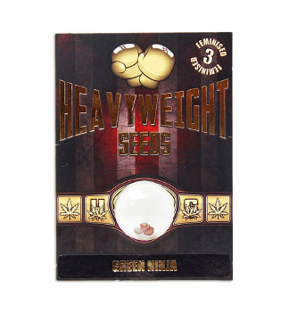 Green Ninja fem (Heavyweight Seeds)