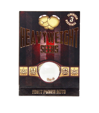 Fruit Punch Auto fem (Heavyweight Seeds)