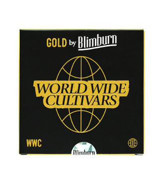 Bubble Gum Sherb fem (Blimburn Seeds)