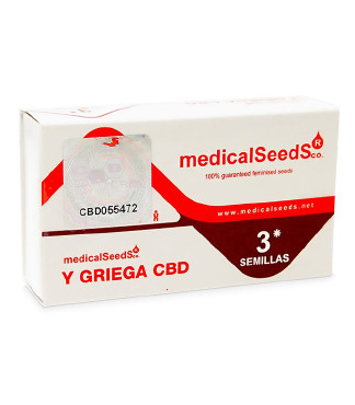 Y Griega CBD fem (Medical Seeds)