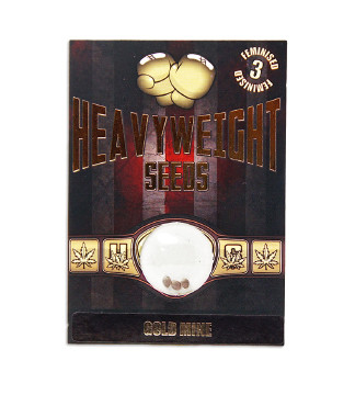 Goldmine fem (Heavyweight Seeds)