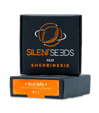 Açai Jelly by Sherbinskis fem (Silent Seeds)