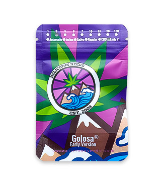 Golosa Early Version fem (Delicious Seeds)