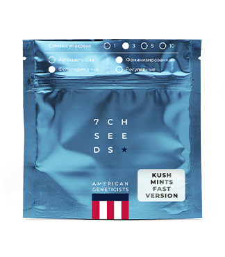 Kush Mints Fast Version fem (7CH American)
