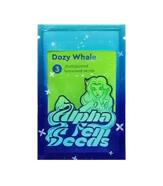Dozy Whale fem (AlphaFem Seeds)