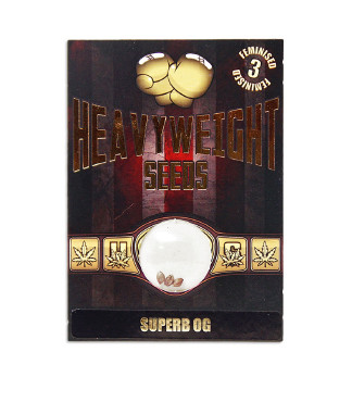 Superb OG fem (Heavyweight Seeds)