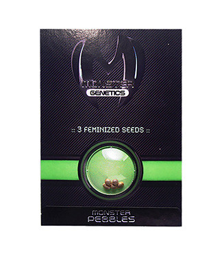 Monster Pebbles fem (Monster Genetics)