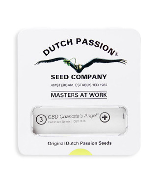 CBD Charlotte’s Angel fem (Dutch Passion)