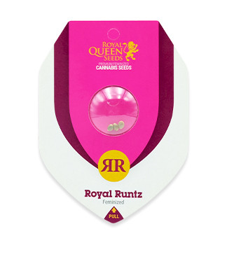 Royal Runtz fem (RQS)