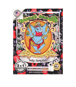 Indigo Berry Kush fem (Sweet Seeds)