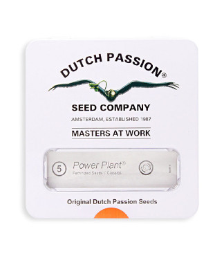 Power Plant fem (Dutch Passion)