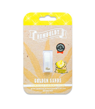 Golden Sands fem (Humboldt Seed Company)