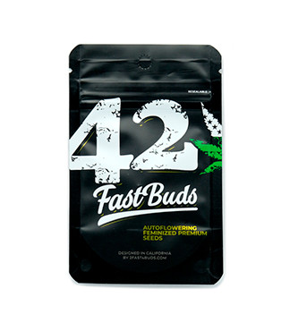 Banana Purple Punch Auto fem (FastBuds)