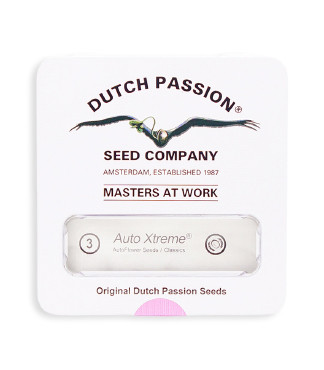 Auto Xtreme fem (Dutch Passion)